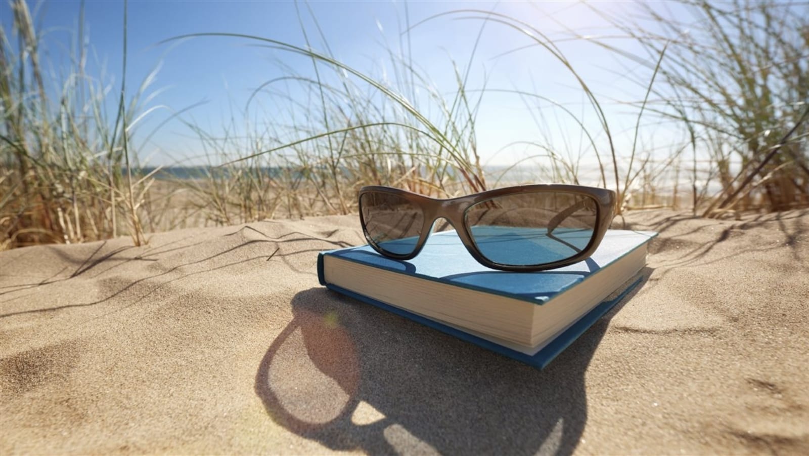livre été